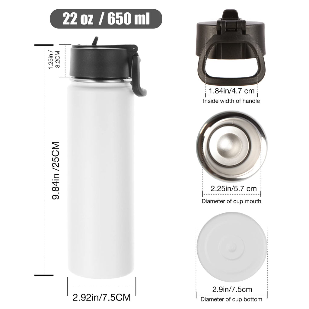 22 oz Stainless Steel Insulated Water Bottles with Straw 8 Pack H73187