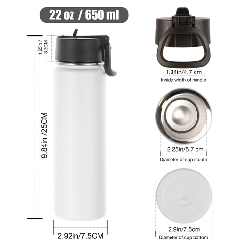 22 oz Stainless Steel Insulated Water Bottles with Straw 8 Pack H73187
