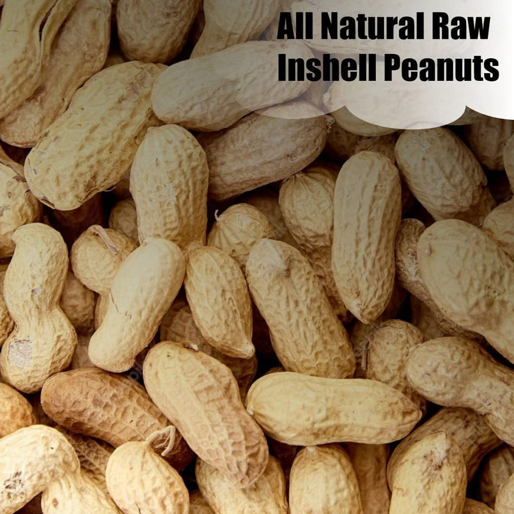 In-Shell Peanuts 8 lbs X293631