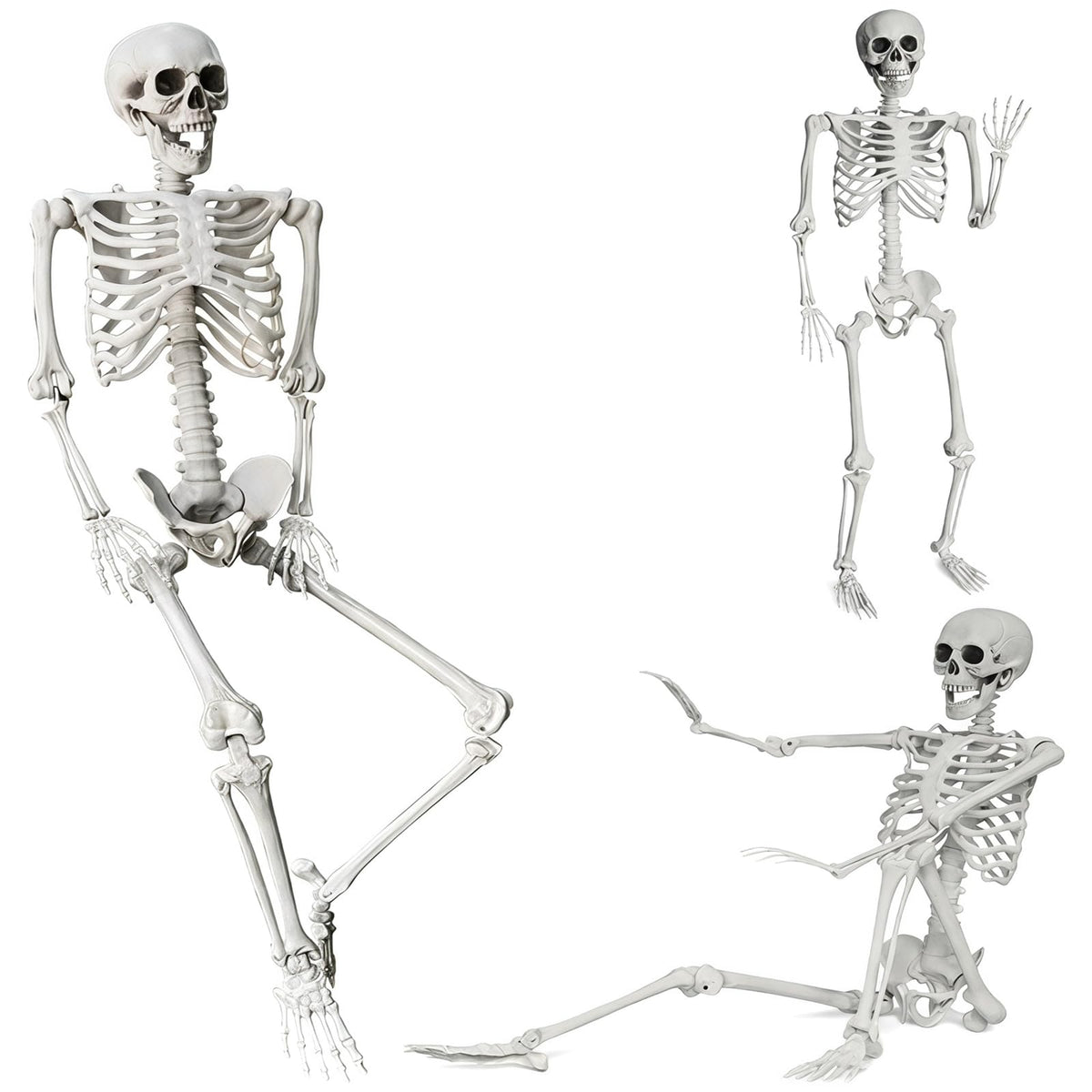 Life Size Posable Skeleton Halloween Decoration J325