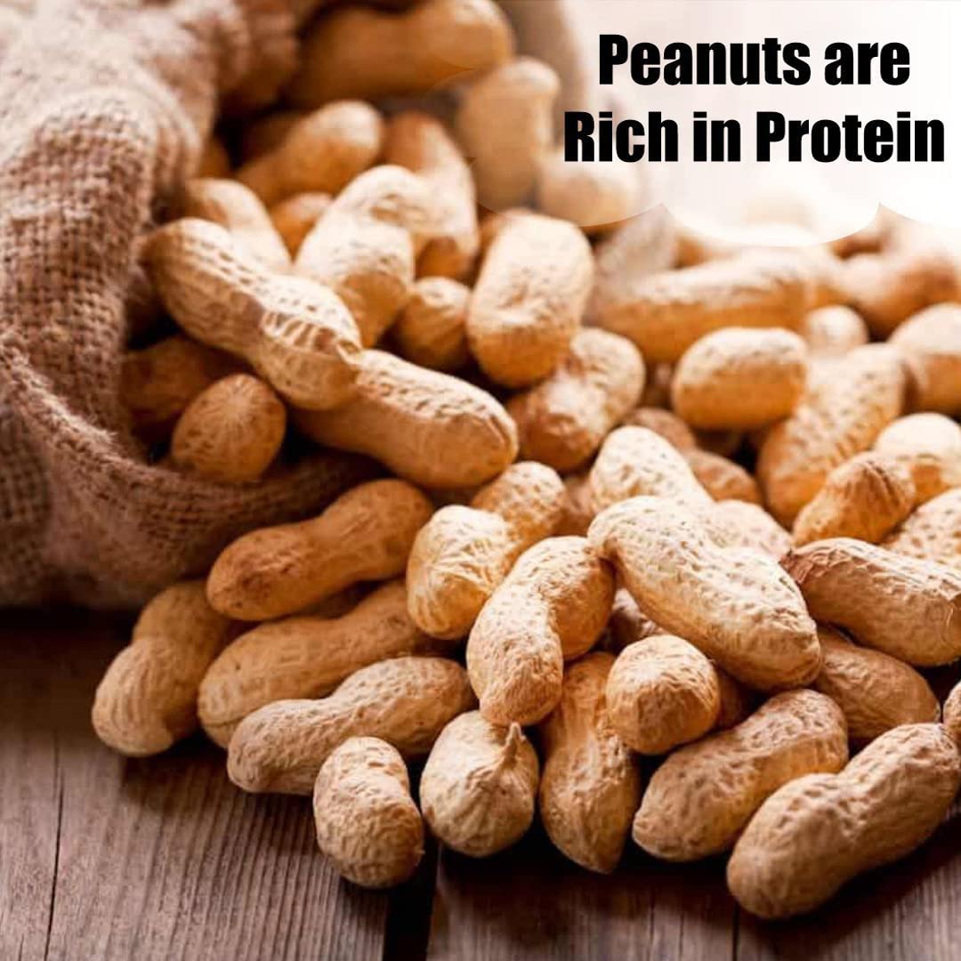 In-Shell Peanuts 8 lbs X293631
