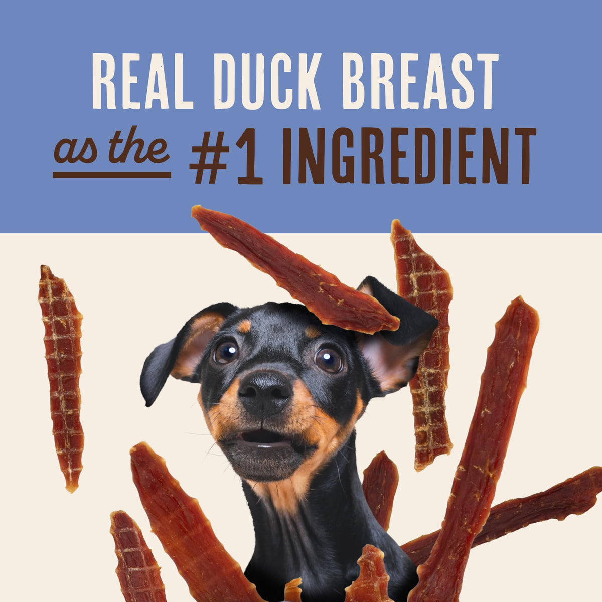 Duck Jerky Dog Treats 12 oz M6167