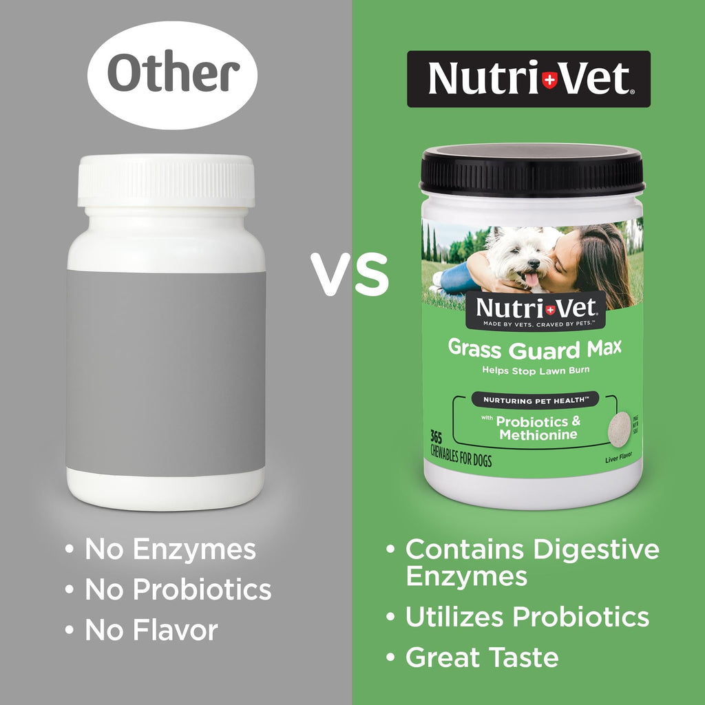 Dog Urine Support Chewables 365 Count Z41963