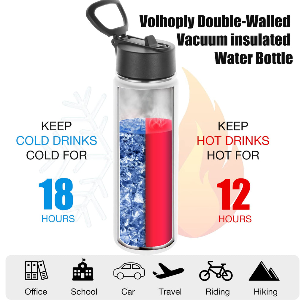 22 oz Stainless Steel Insulated Water Bottles with Straw 8 Pack H73187