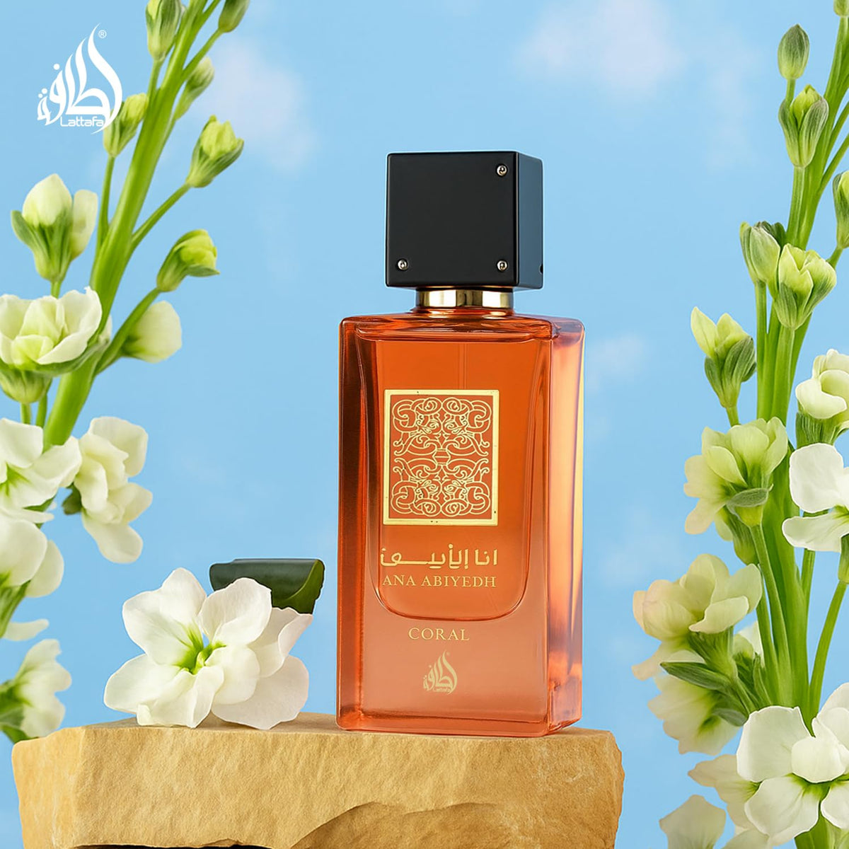 Eau de Parfum Spray 2.0 Ounce X4766