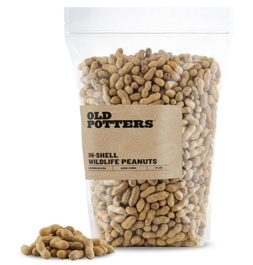 In-Shell Peanuts 8 lbs X293631