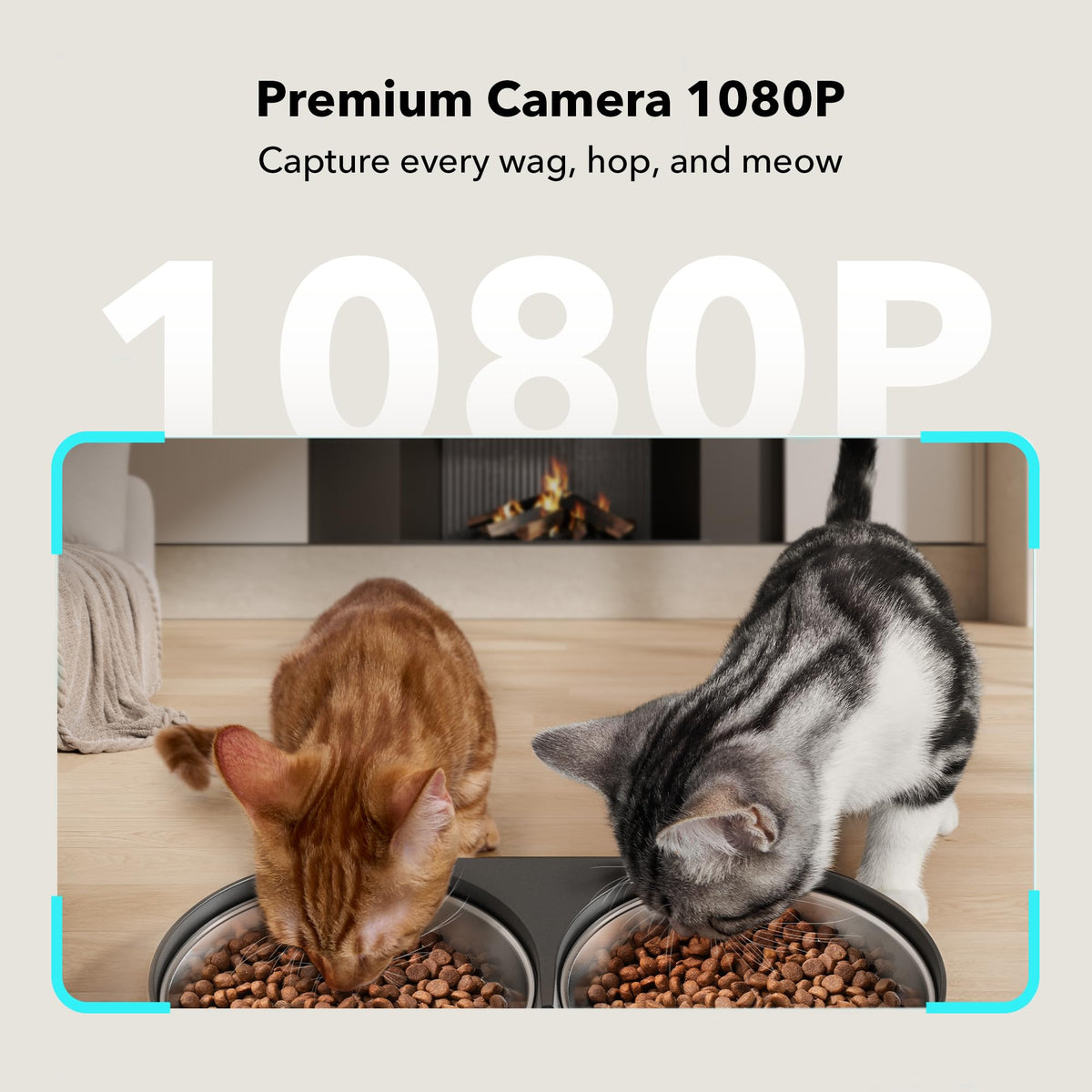 Automatic Cat Feeder with Camera, 1080P HD Video, 5G WiFi, 2-Way Audio, Dual Tray, Black 5L N114691