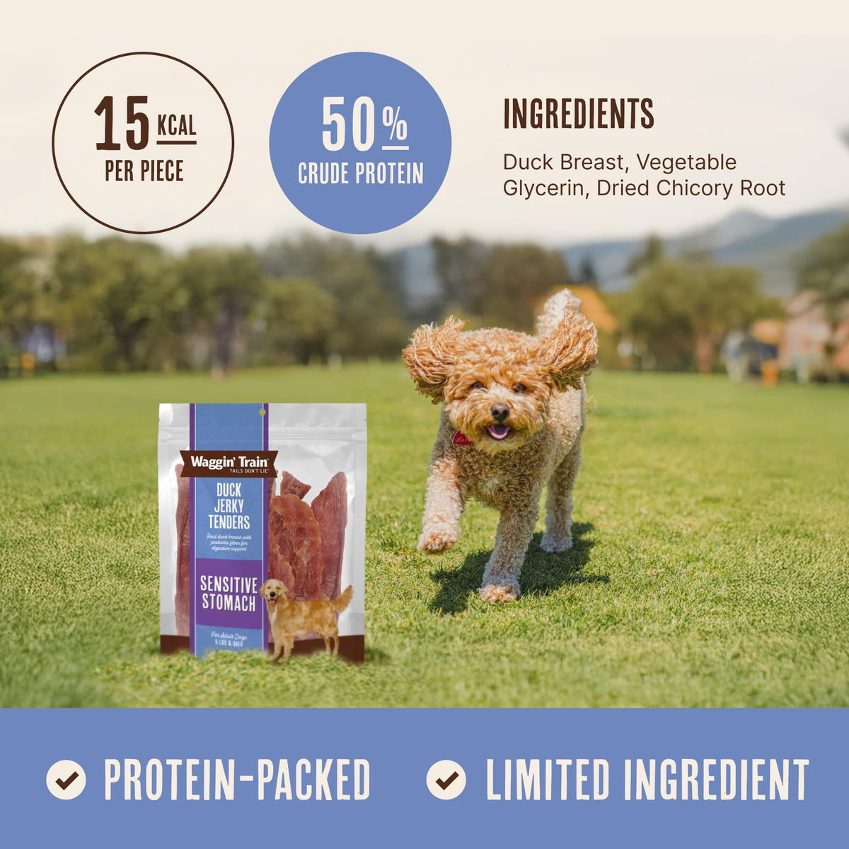 Duck Jerky Dog Treats 12 oz M6167
