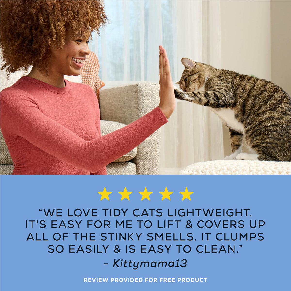 4-in-1 Strength Cat Litter, 17 lb O545922