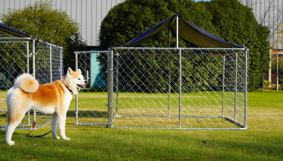 Heavy Duty Steel Dog Kennel with Secure Lock Q893
