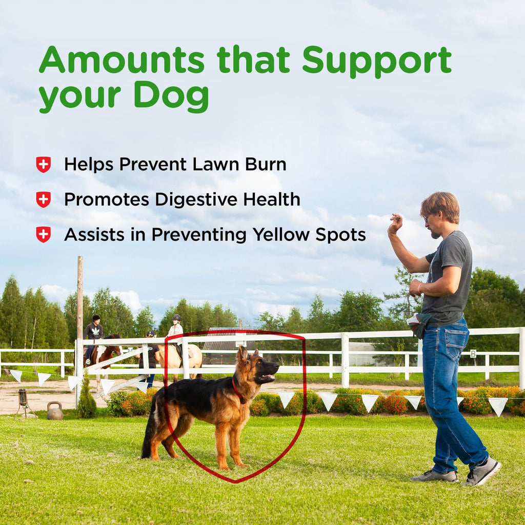 Dog Urine Support Chewables 365 Count Z41963