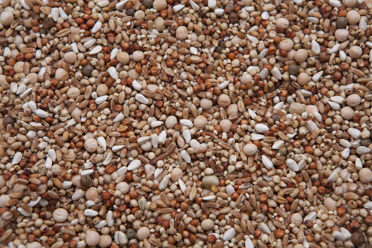 No Corn Special Mix (13.5%) (20) K766